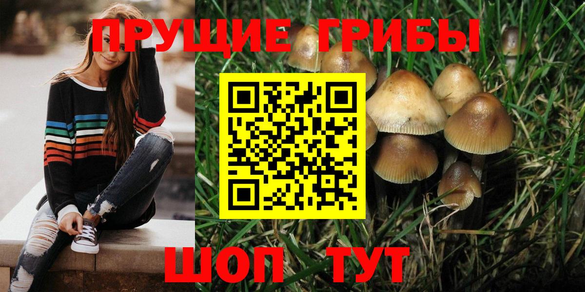 Галлюциногенные грибы Cubensis Солнечногорск